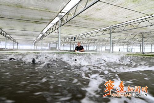 寧遠 工廠化循環水養魚，助力村民增收與畜牧業飼料升級
