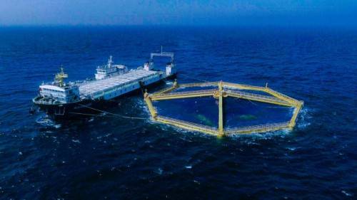 深遠海綠色養殖新篇章 青島獲批國家級試驗區，畜牧漁業飼料迎發展良機